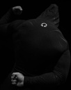 Void Tech™ Pulsefire Hoodie Compression  (2)