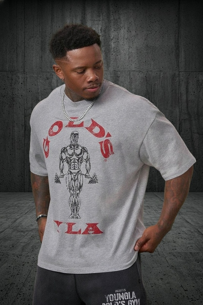 [4213-HG-S] Gold's Iron Legacy Icon Tees - Heather Grey (S)