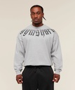 Gymshark Fade Graphic Long Sleeve T-Shirt - Light Grey Core Marl